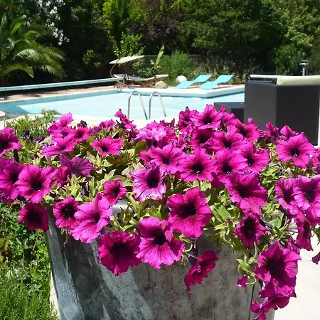 Bed & Breakfast De La Garriguette *