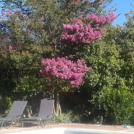 Bed & Breakfast De La Garriguette